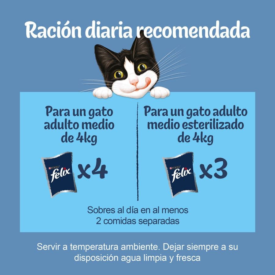 12 sobres x 85 g Felix Sensations Fest&iacute;n de Sabores sobres en gelatina para gatos, , large indicador imagen numero 3